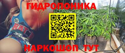 a pvp Новодвинск