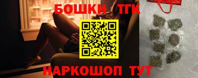 гашик Новозыбков