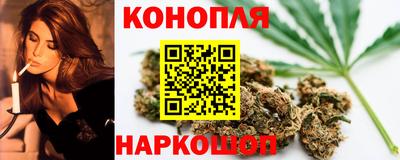 гашик Новозыбков