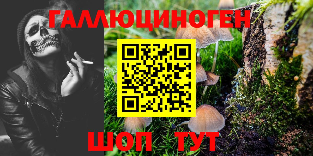 Галлюциногенные грибы GOLDEN TEACHER Ярцево