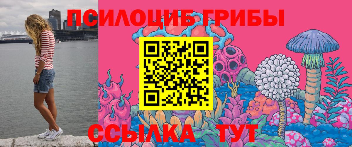 Ярцево  продажа наркотиков  Вход с VPN  Псилоцибиновые грибы ЛСД 